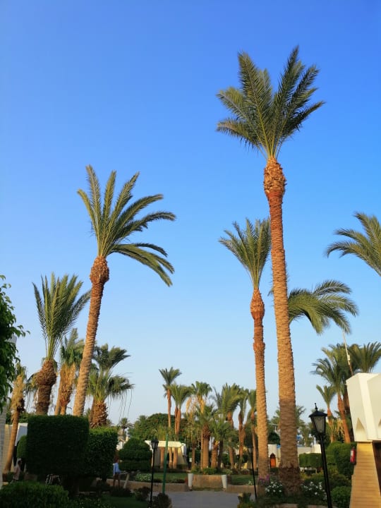 Außenansicht Regina Resort and Aqua Park Hurghada