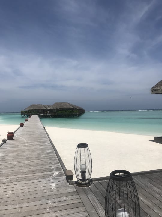 Gartenanlage Meeru Maldives Resort Island