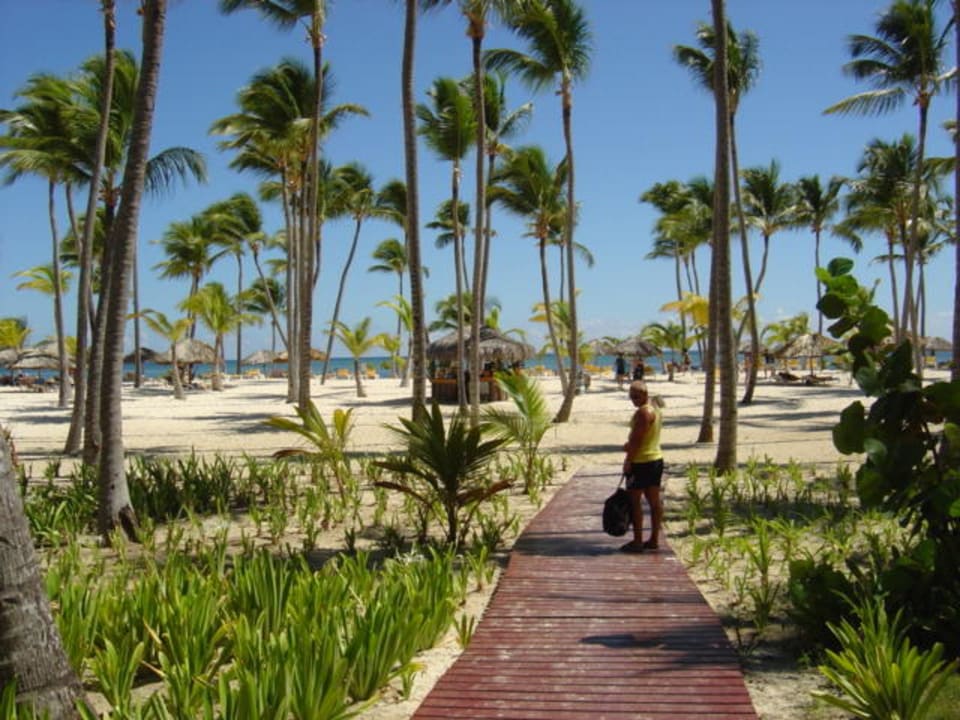 Strand Catalonia Punta Cana - All Inclusive