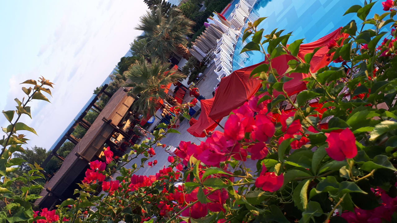 Ausblick Seamelia Beach Resort