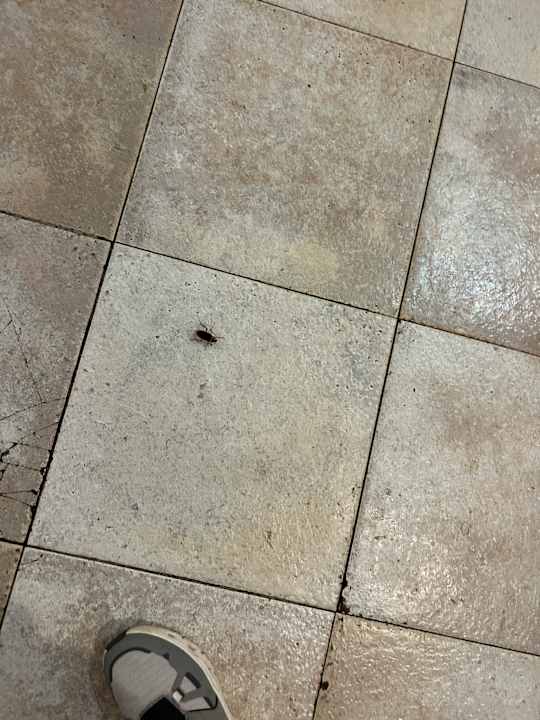 Gastro SBH Costa Calma Beach Resort