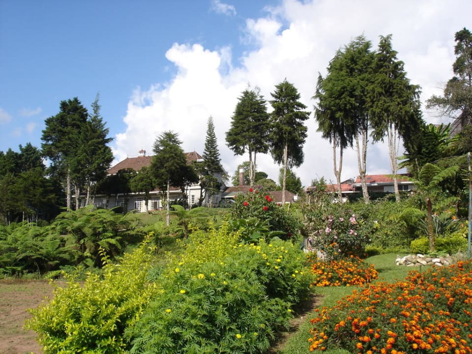 Gartenanlage Außenansicht Father's Guest House
