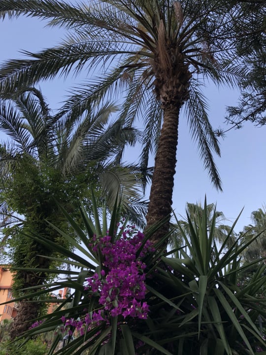 Außenansicht Seher Kumköy Star Resort & Spa