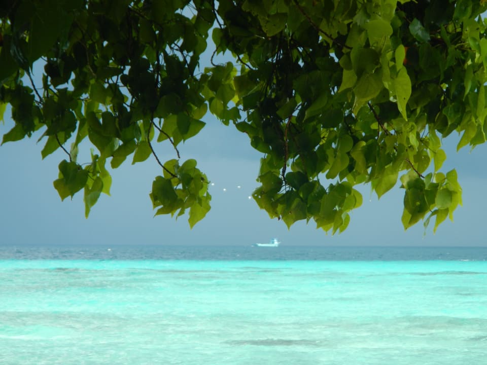 Strand Summer Island Maldives
