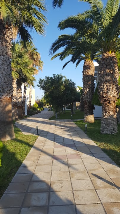 Gartenanlage und Sicht der Doppelzimmer Corali Hotel
