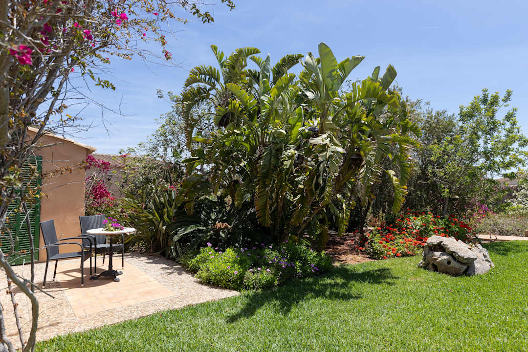 Zimmer Finca Son Marimon