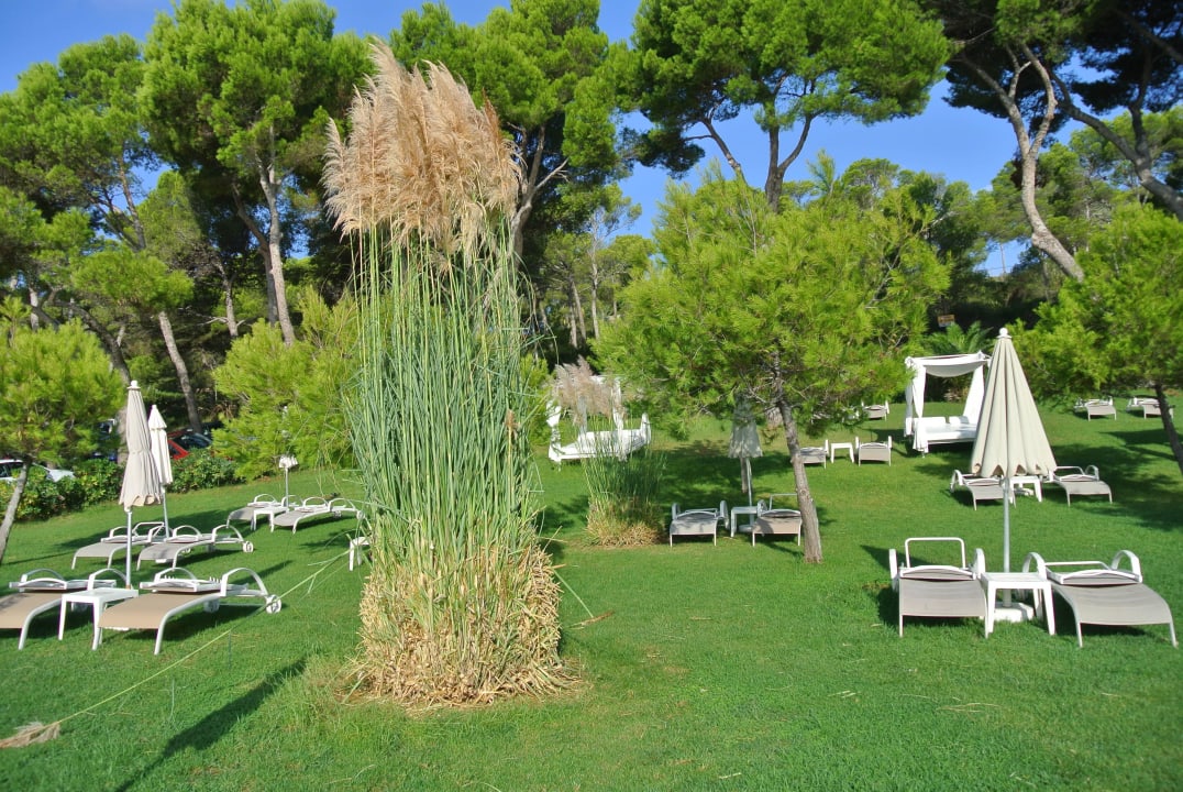 Garten Grupotel Aguait Resort & Spa - Adults only