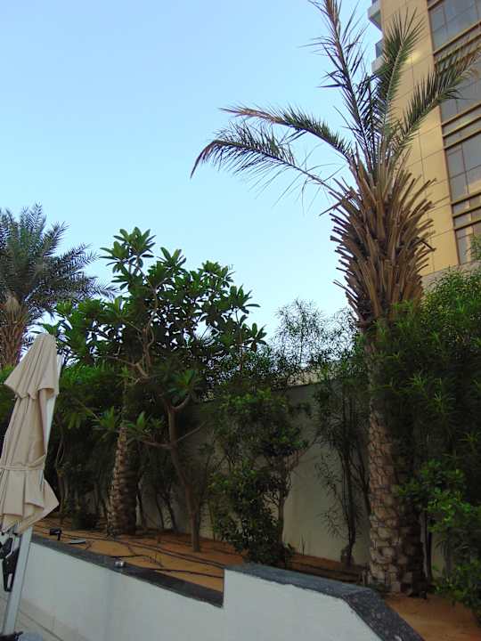 Gartenanlage Hampton By Hilton Dubai Airport