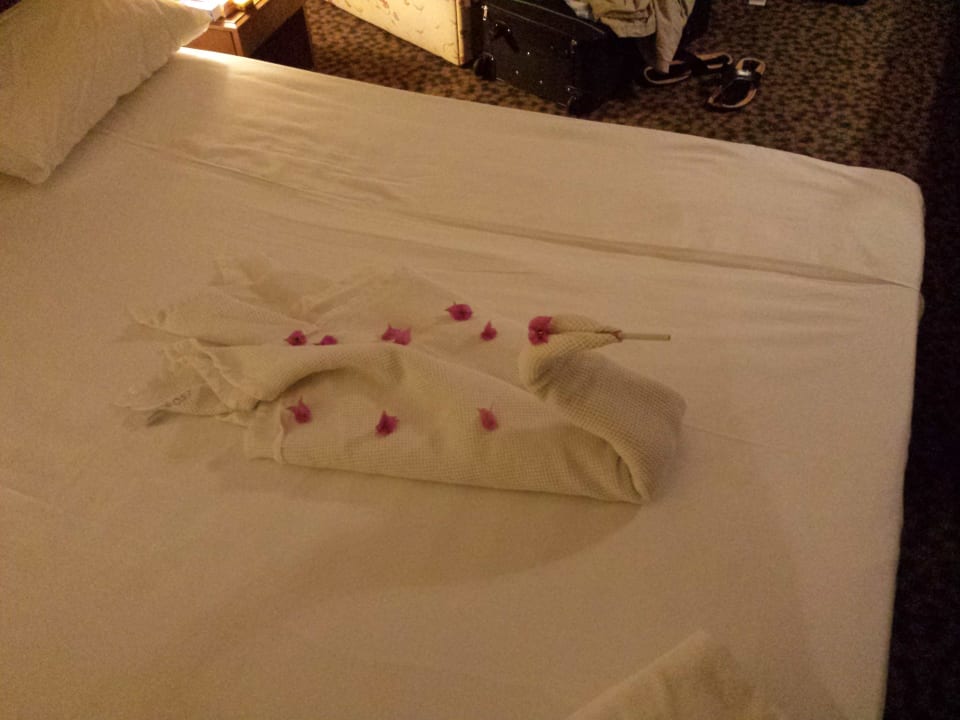 Bett Dosi Hotel