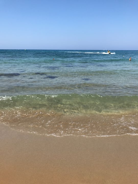 Strand TUI BLUE Insula Alba