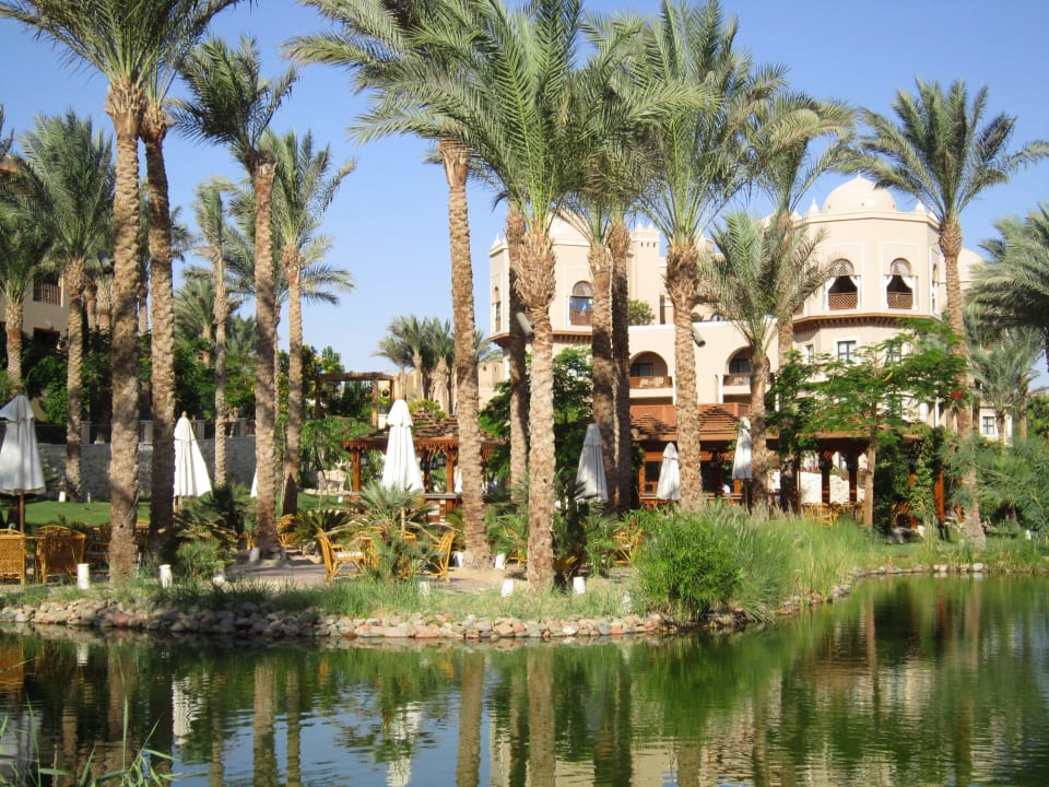 Grün Grün Grün Makadi Palace