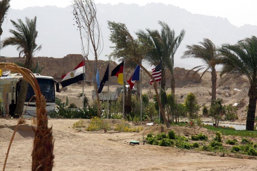 Przed wejściem Siva Golden Bay Makadi