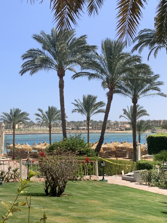 Ausblick Steigenberger Coraya Beach - Adults only