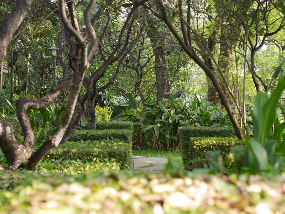 Garten Centara Grand Beach Resort & Villas Hua Hin