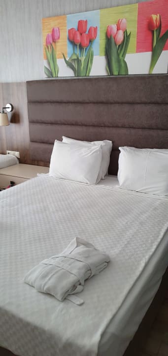 Zimmer Monachus Family Resort Sorgun