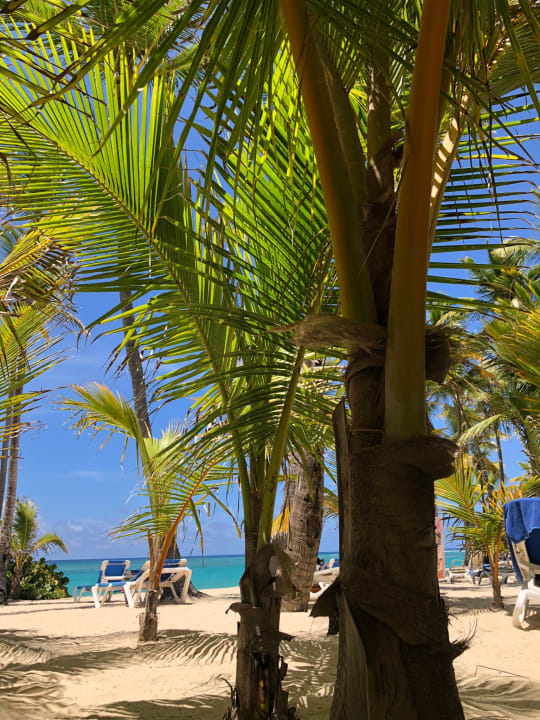 Strand Hotel Riu Palace Bavaro