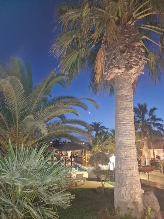 Ausblick TUI MAGIC LIFE Penelope Beach