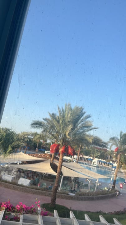 Ausblick Desert Rose