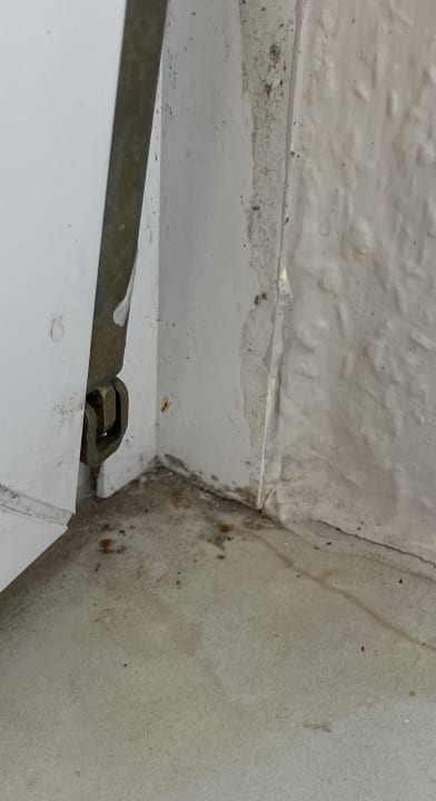 Zimmer Ferienwohnungen Ferienpark Weissenhäuser Strand