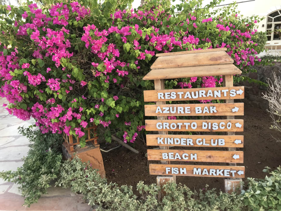 Gartenanlage Regency Plaza Aqua Park & Spa