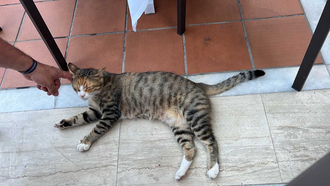 Gartenanlage Atlantica Aegean Blue