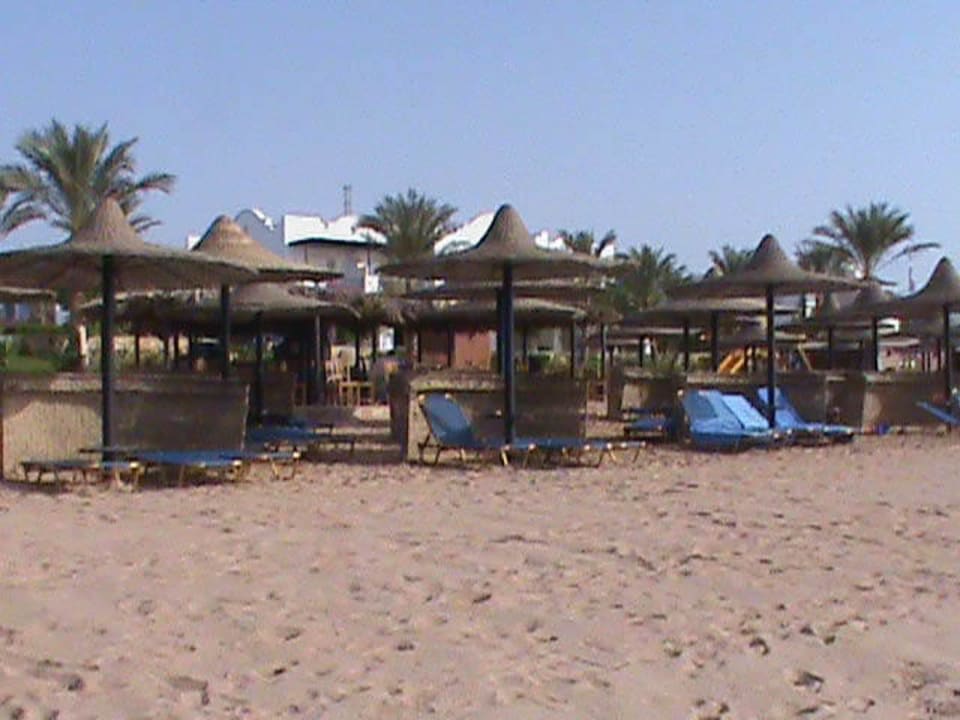 Beach JAZ Dahabeya