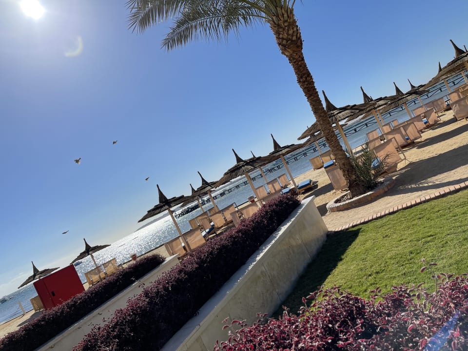 Strand Beach Albatros Resort