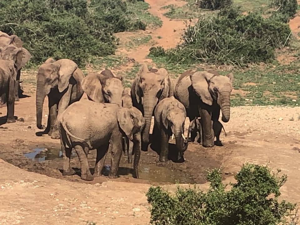 Sonstiges Hotel Woodall Country House