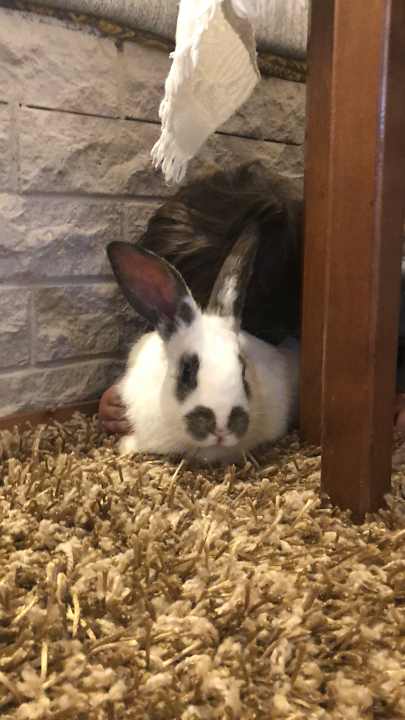 Sonstiges Acrotel Sofia's Guesthouse