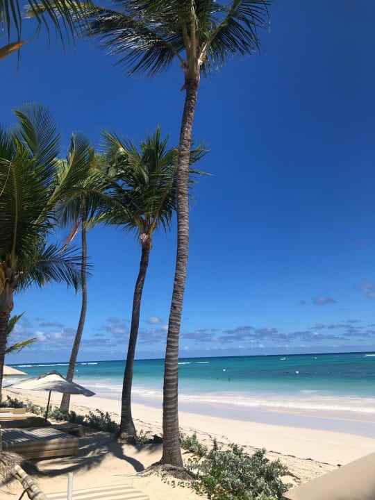 Strand VIK Hotel Cayena Beach Club
