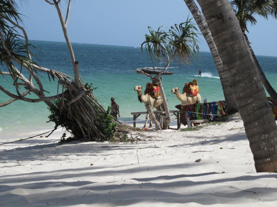 Chillen am Meer PrideInn Flamingo Beach Resort & Spa