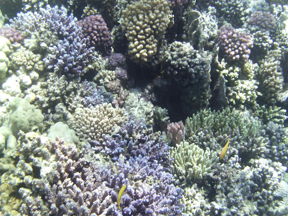 Sport & Freizeit Makadi Spa - Adults only