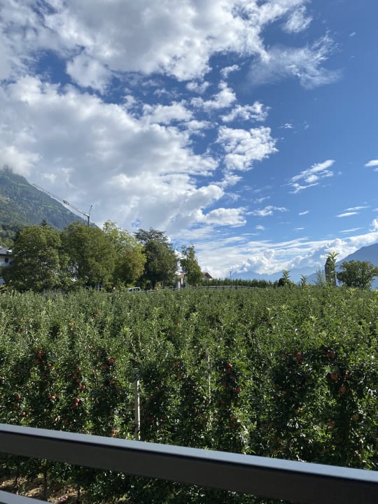 Ausblick Feldhof DolceVita Resort