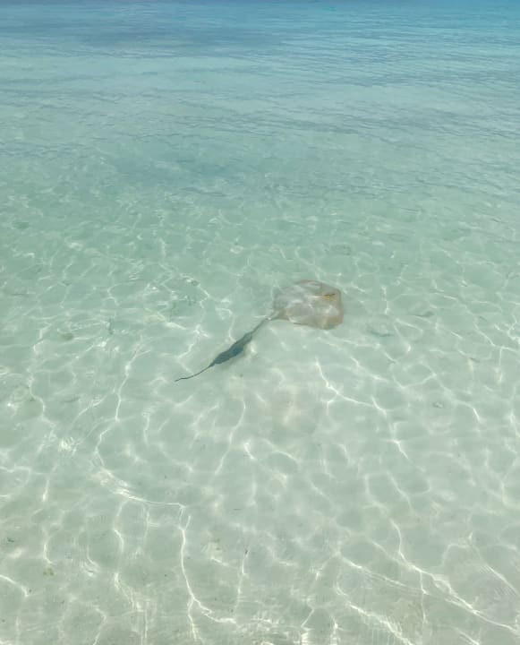 Strand Kuredu Island Resort & Spa