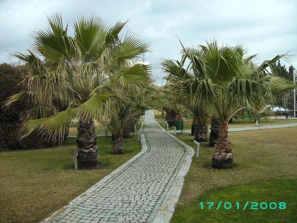 Weg zum Strand Arcanus Hotels Sorgun