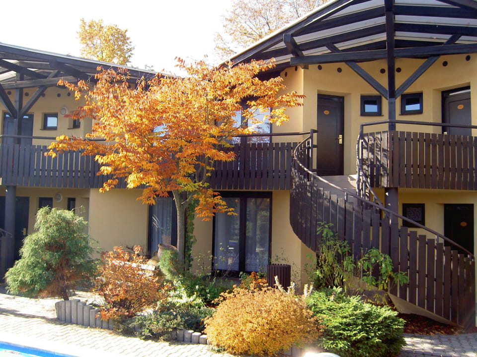 Hotel Atrium Hotel Safari