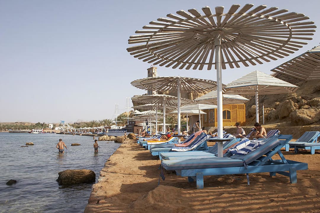 Hotel-Strand Albatros Sharm Resort