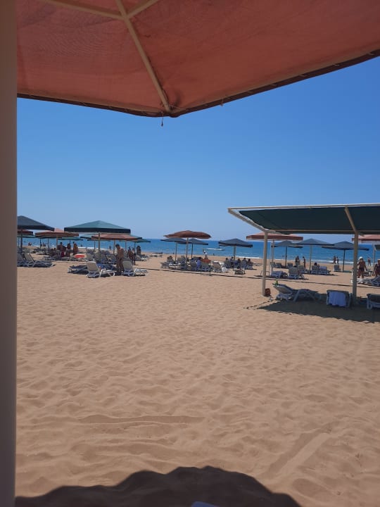 Strand Kamelya Aishen Club