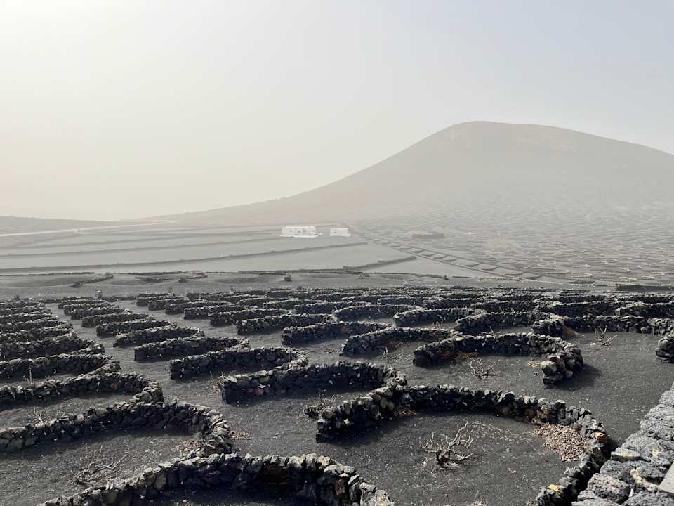 Ausblick Finca de la Florida