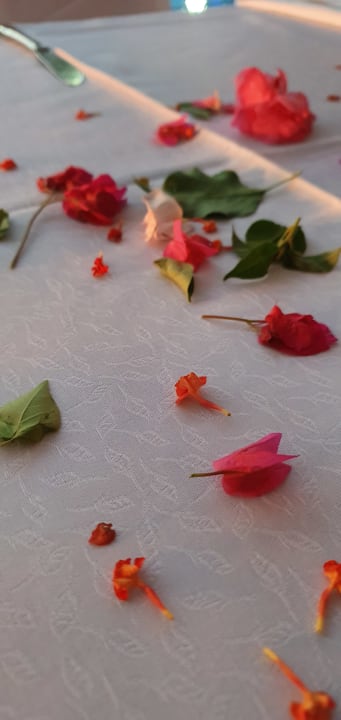 Gastro Hane Family Resort