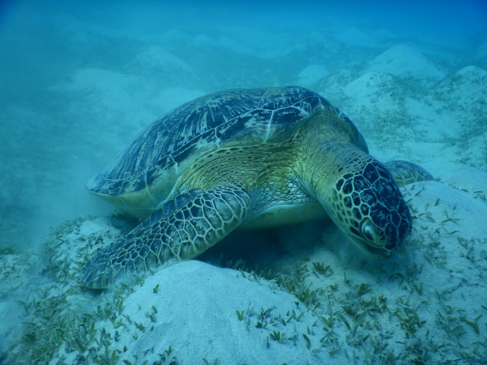 Strand Three Corners Sea Beach Resort
