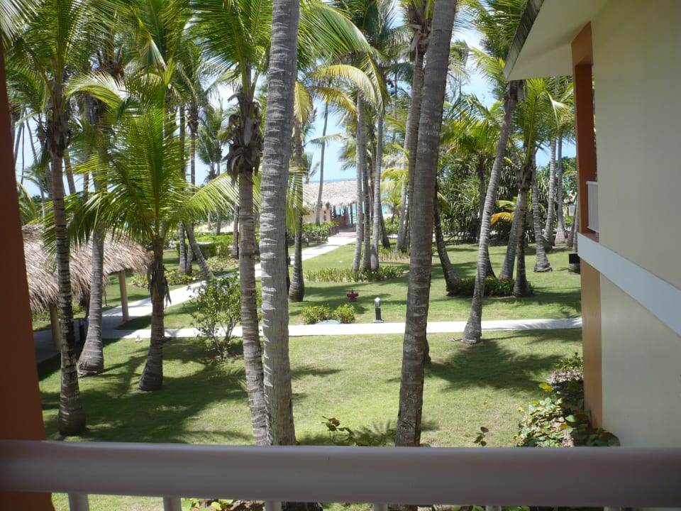 Seitlicher Meerblick Hotel Grand Palladium Palace Resort, Spa & Casino