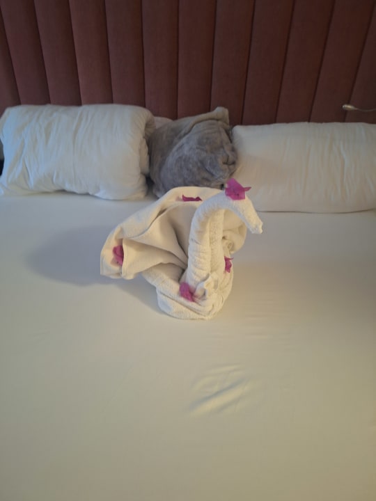 Zimmer My Home Resort