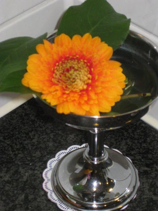 Frische Blume im Bad Europa Hotel Kühlungsborn