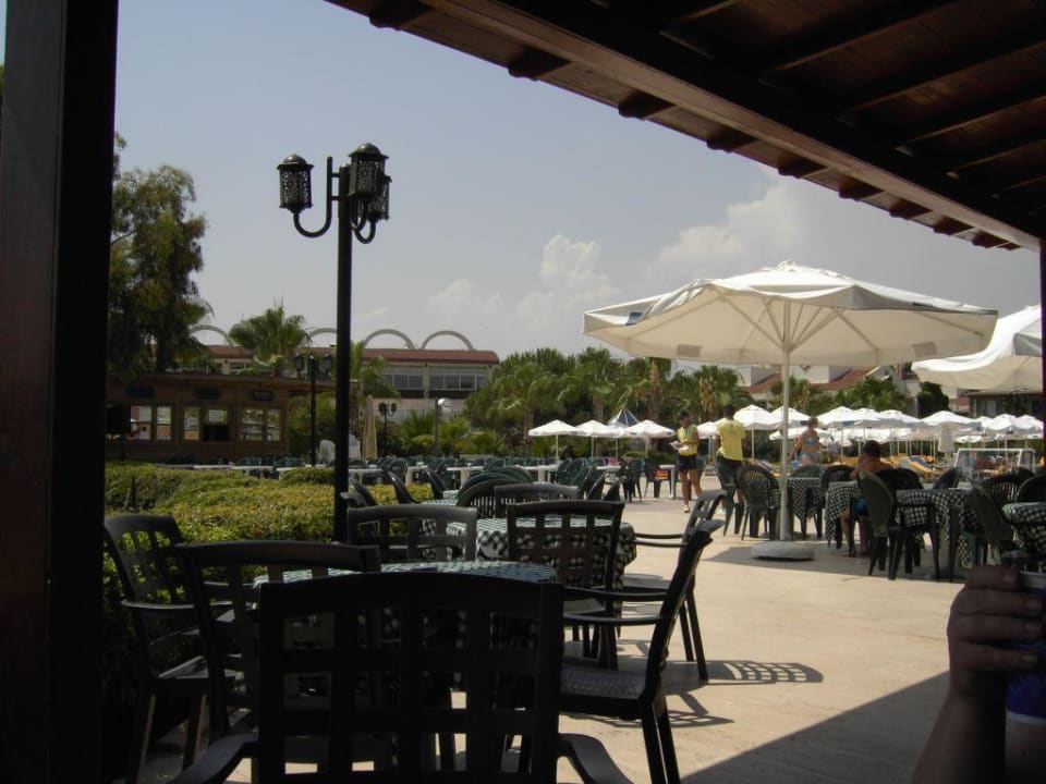 Poolbar Paloma Oceana