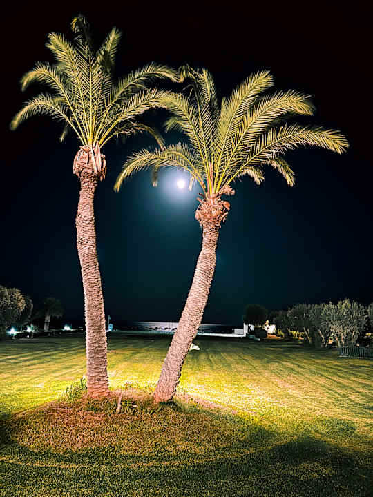 Gartenanlage Atrium Palace Thalasso Spa Resort & Villas
