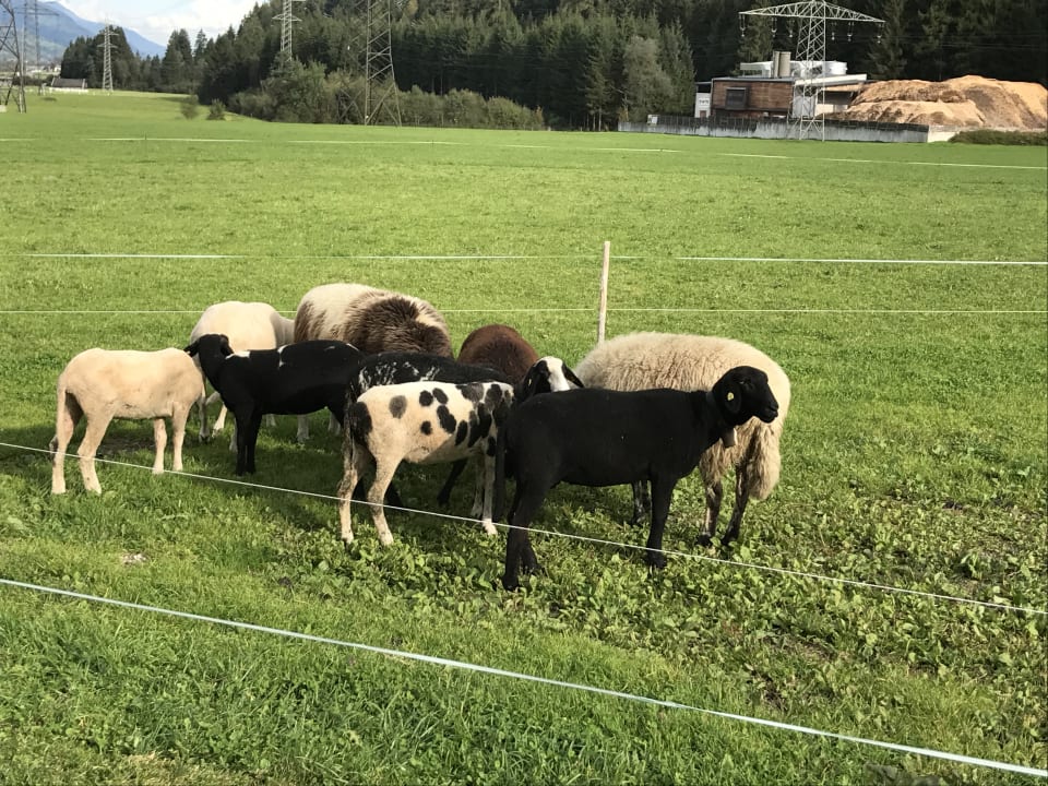Sonstiges Kinderhotel Felben