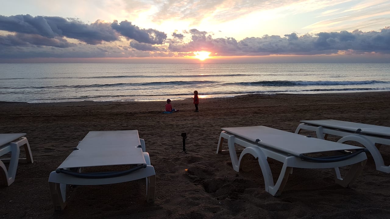 Strand Acanthus Cennet Barut Collection