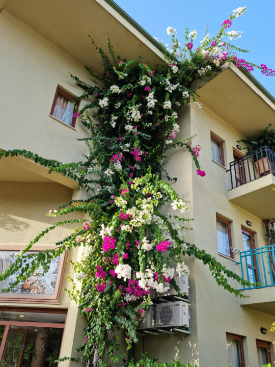 Gartenanlage VONRESORT Golden Beach