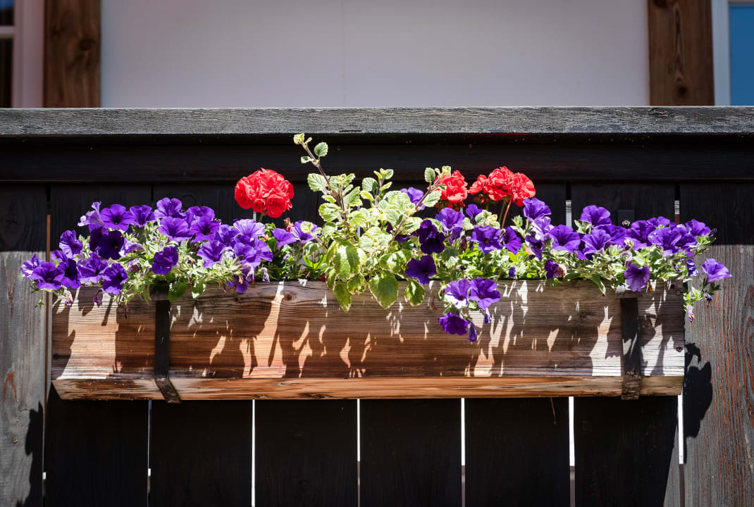 Gartenanlage Hotel Inntaler Hof